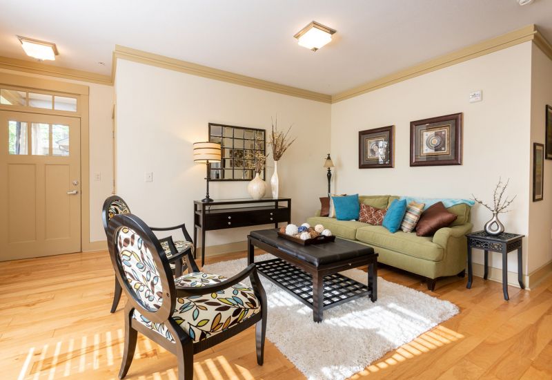 Cosgrove Hill at Chapel Hiil, NC. Stylish living room featuring a couch, chair, coffee table, and rug.