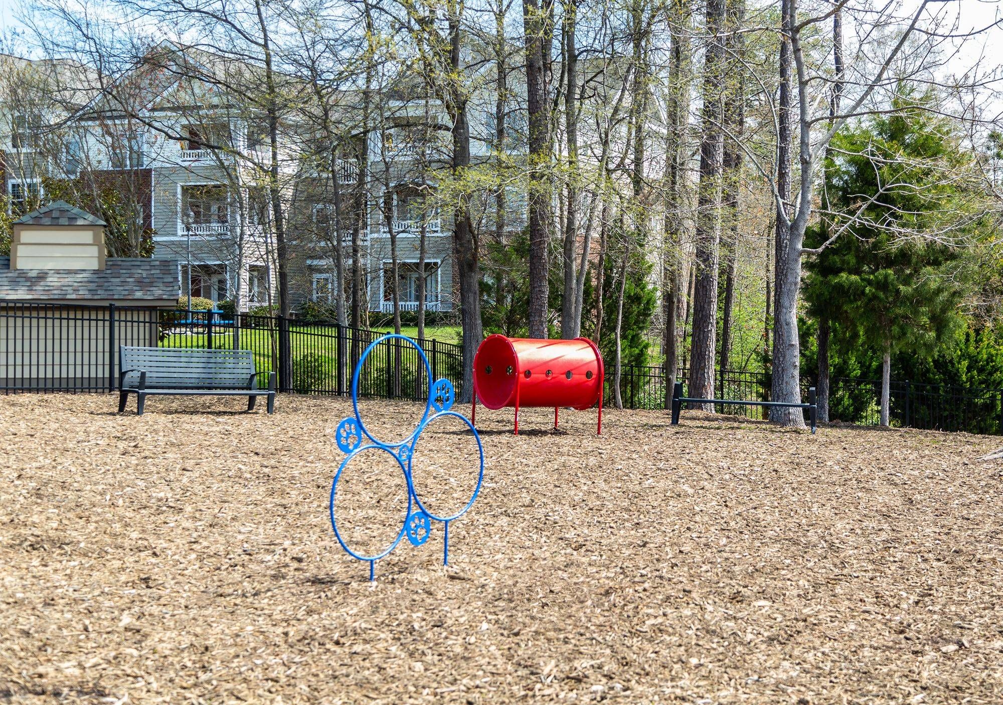 Cosgrove Hill at Chapel Hiil, NC. Vibrant playground featuring red and blue slide.